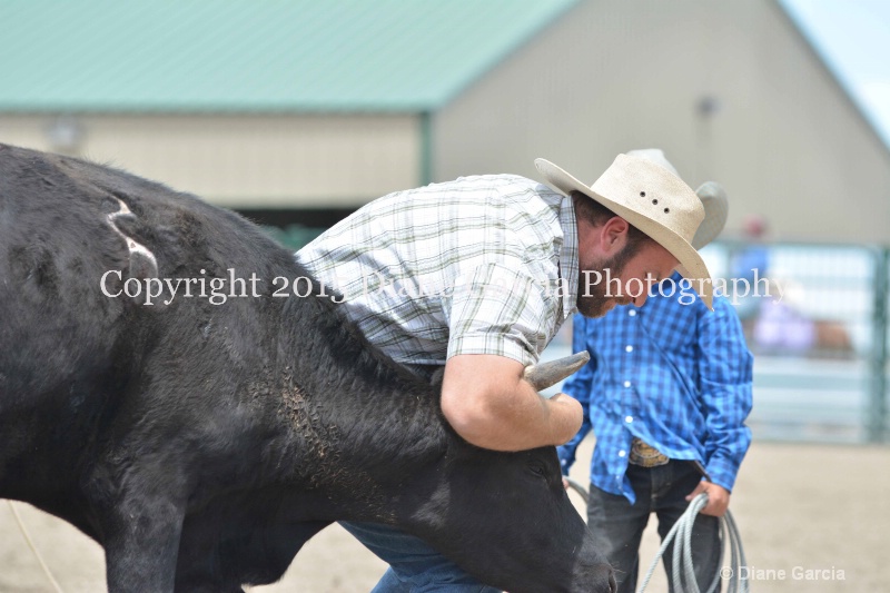ujra parent rodeo 2015  39  - ID: 14942884 © Diane Garcia