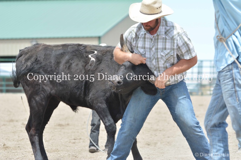 ujra parent rodeo 2015  37  - ID: 14942886 © Diane Garcia