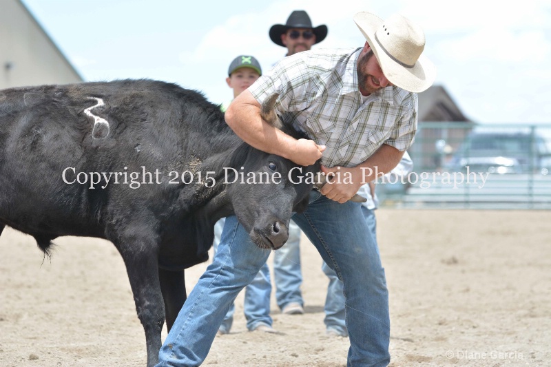ujra parent rodeo 2015  36  - ID: 14942887 © Diane Garcia