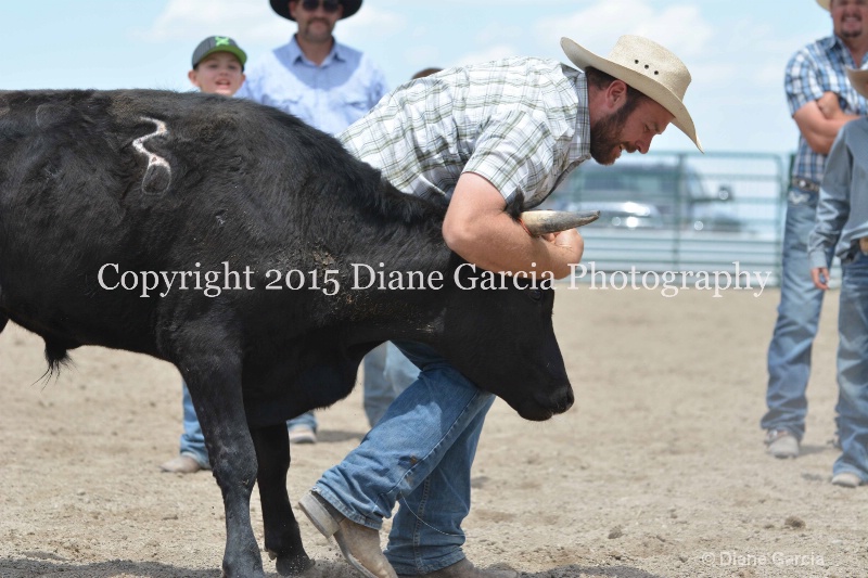ujra parent rodeo 2015  35  - ID: 14942888 © Diane Garcia