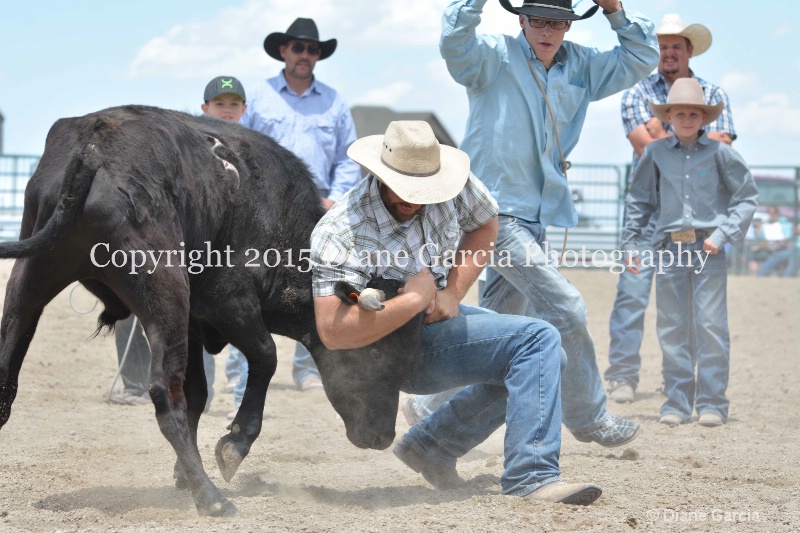 ujra parent rodeo 2015  33  - ID: 14942890 © Diane Garcia