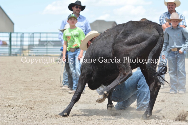 ujra parent rodeo 2015  32  - ID: 14942891 © Diane Garcia