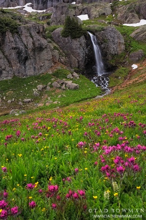 Waterfalls and Wildflowers