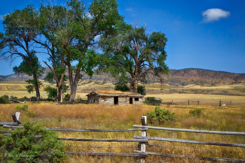 The Parker Homestead