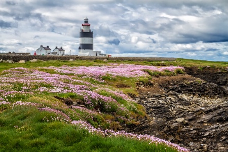 Hook Head Lighthouse  1525