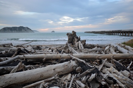 tolaga bay dsc 4565