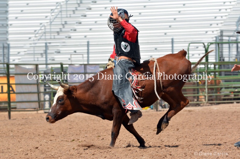 kesler riding 5th and under nephi 2015 19 - ID: 14990501 © Diane Garcia