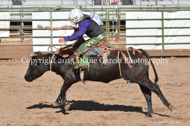 korby christiansen jr high rodeo nephi 2015 7 - ID: 14992745 © Diane Garcia