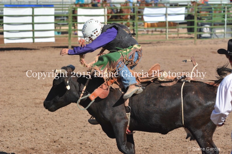 korby christiansen jr high rodeo nephi 2015 3 - ID: 14992749 © Diane Garcia