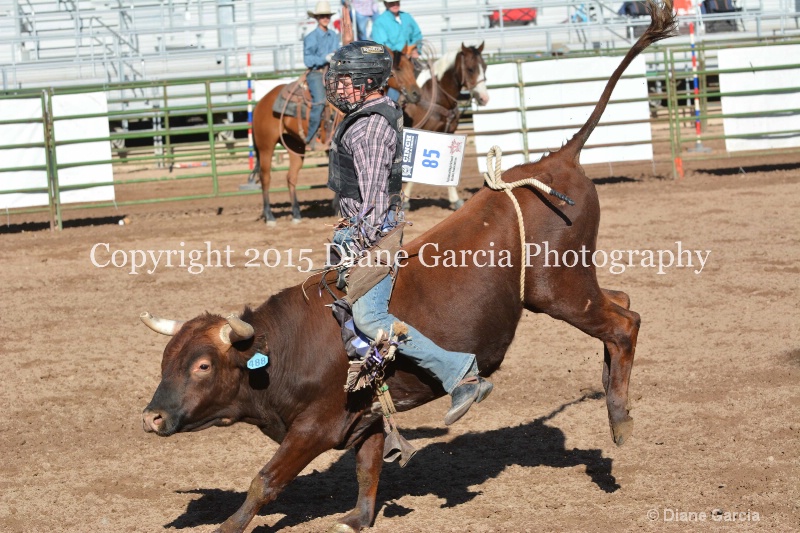 kolton iverson jr high rodeo nephi 2015 19 - ID: 14992753 © Diane Garcia