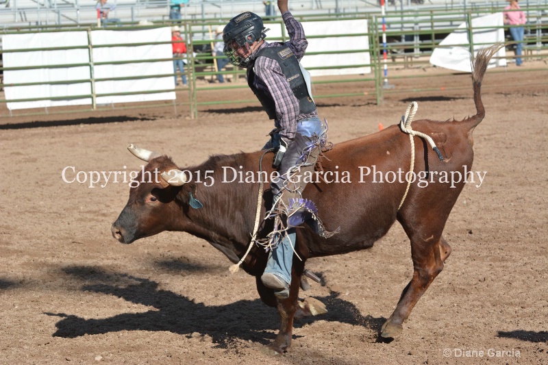 kolton iverson jr high rodeo nephi 2015 18 - ID: 14992754 © Diane Garcia