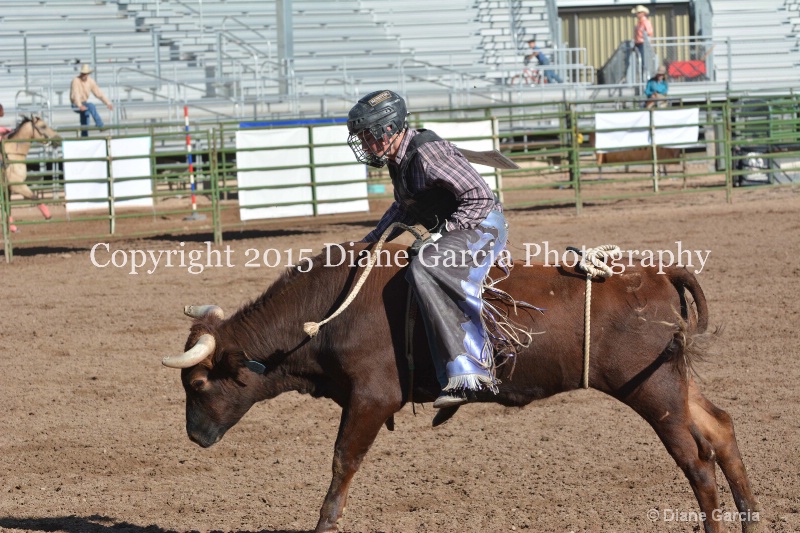 kolton iverson jr high rodeo nephi 2015 17 - ID: 14992755 © Diane Garcia