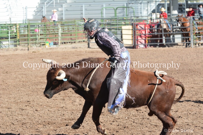 kolton iverson jr high rodeo nephi 2015 16 - ID: 14992756 © Diane Garcia