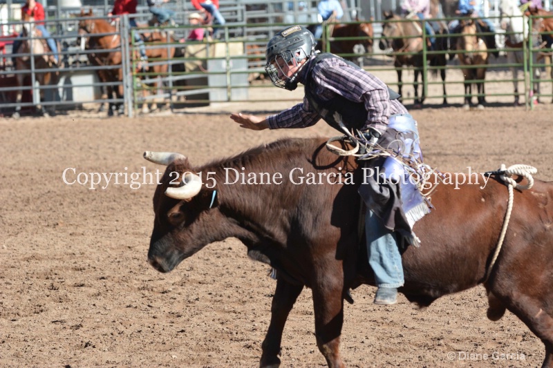 kolton iverson jr high rodeo nephi 2015 15 - ID: 14992757 © Diane Garcia