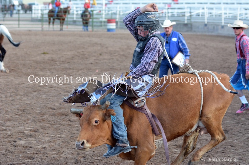kolton iverson jr high rodeo nephi 2015 14 - ID: 14992758 © Diane Garcia