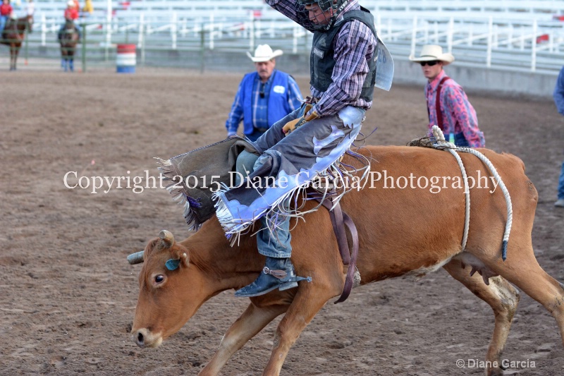 kolton iverson jr high rodeo nephi 2015 13 - ID: 14992759 © Diane Garcia