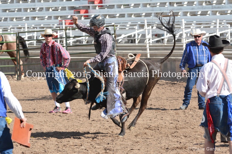 kolton iverson jr high rodeo nephi 2015 12 - ID: 14992760 © Diane Garcia