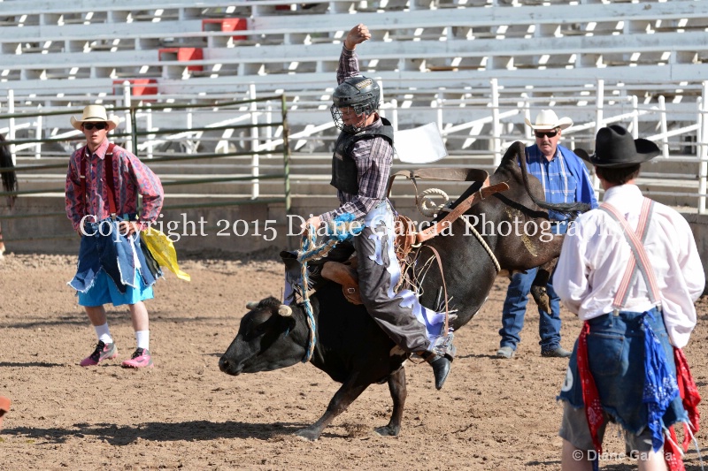 kolton iverson jr high rodeo nephi 2015 11 - ID: 14992761 © Diane Garcia