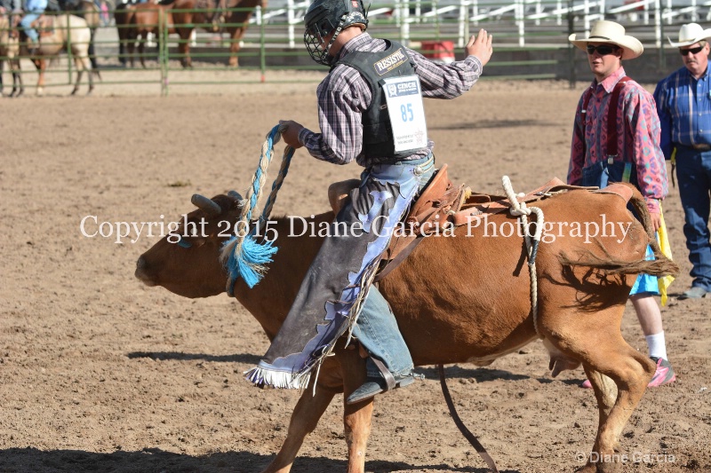 kolton iverson jr high rodeo nephi 2015 10 - ID: 14992762 © Diane Garcia