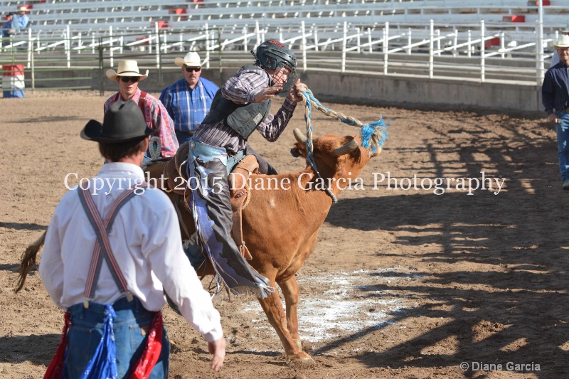 kolton iverson jr high rodeo nephi 2015 9 - ID: 14992763 © Diane Garcia