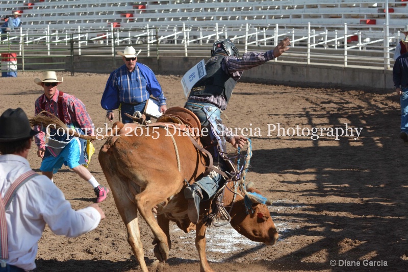 kolton iverson jr high rodeo nephi 2015 8 - ID: 14992764 © Diane Garcia