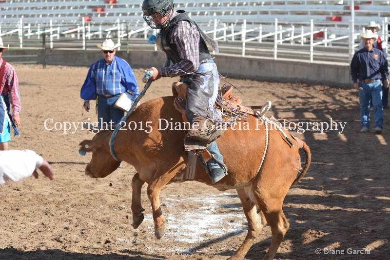 kolton iverson jr high rodeo nephi 2015 7 - ID: 14992765 © Diane Garcia
