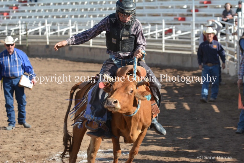 kolton iverson jr high rodeo nephi 2015 6 - ID: 14992766 © Diane Garcia