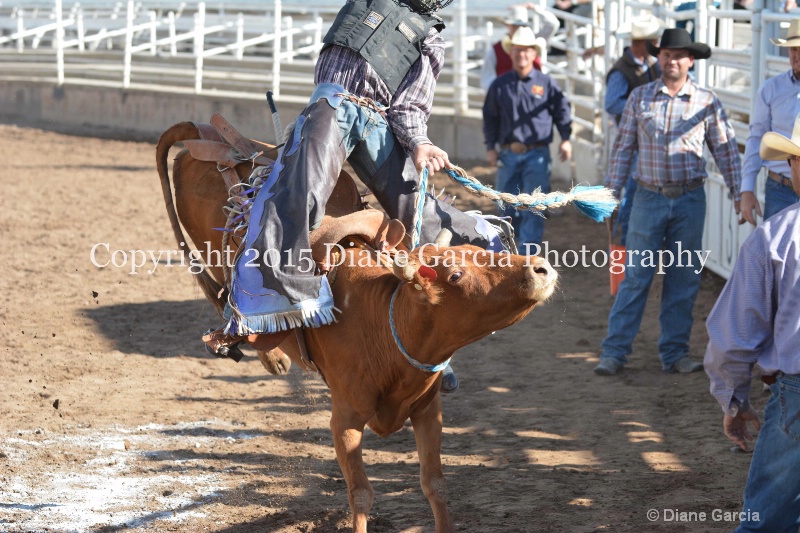kolton iverson jr high rodeo nephi 2015 5 - ID: 14992767 © Diane Garcia