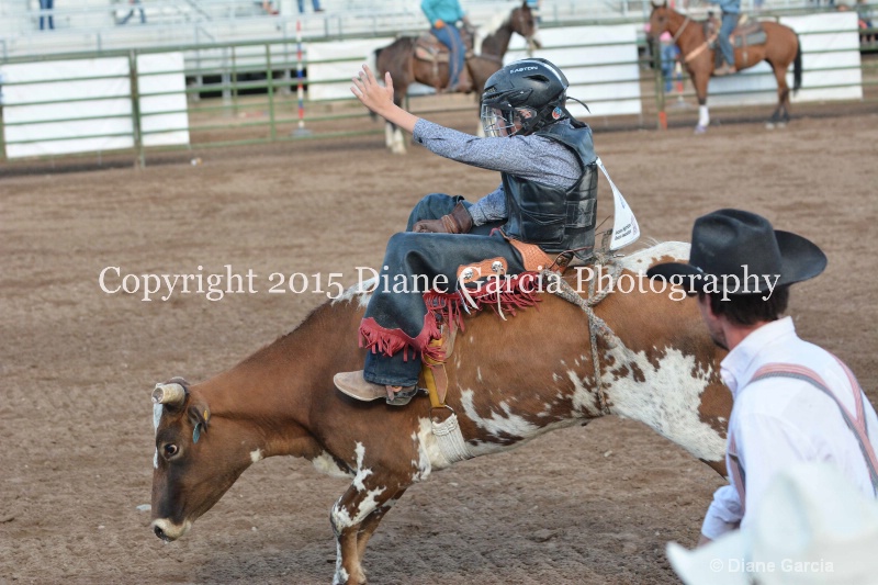 kayson jensen jr high rodeo nephi 2015 3 - ID: 14992768 © Diane Garcia