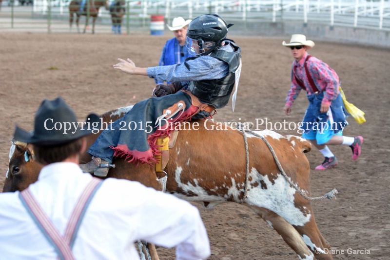 kayson jensen jr high rodeo nephi 2015 2 - ID: 14992769 © Diane Garcia
