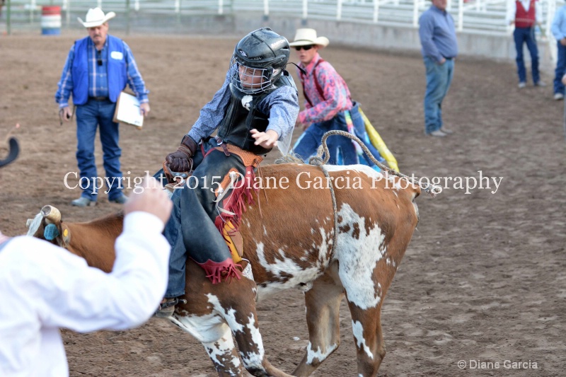 kayson jensen jr high rodeo nephi 2015 1 - ID: 14992770 © Diane Garcia