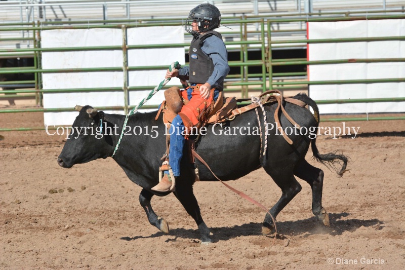 kage ott jr high rodeo nephi 2015 5 - ID: 14992771 © Diane Garcia