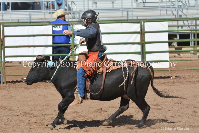 kage ott jr high rodeo nephi 2015 4 - ID: 14992772 © Diane Garcia
