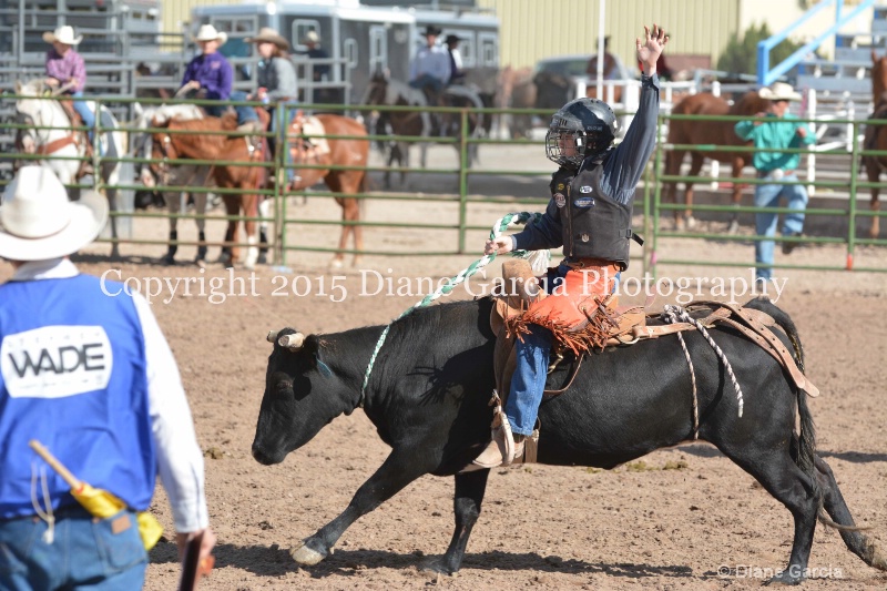 kage ott jr high rodeo nephi 2015 3 - ID: 14992773 © Diane Garcia