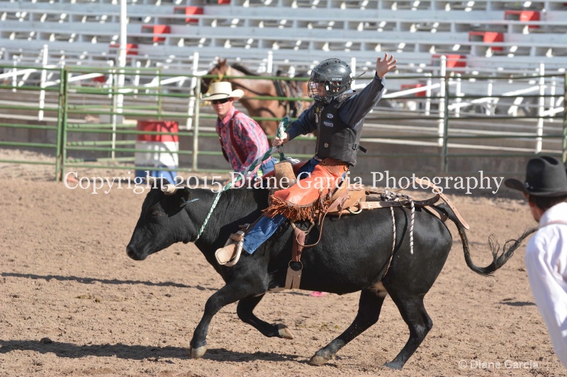kage ott jr high rodeo nephi 2015 2 - ID: 14992774 © Diane Garcia