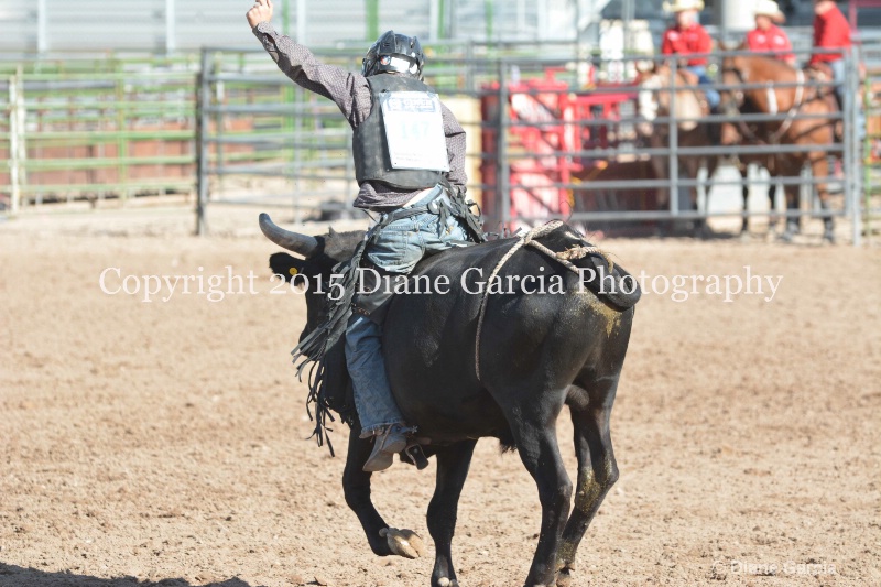 justice hopper jr high rodeo nephi 2015 16 - ID: 14992775 © Diane Garcia