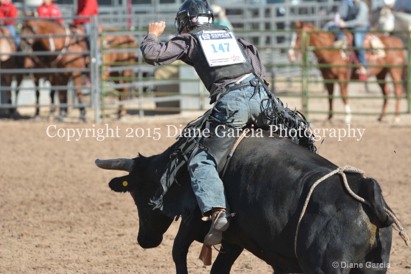 justice hopper jr high rodeo nephi 2015 15 - ID: 14992776 © Diane Garcia