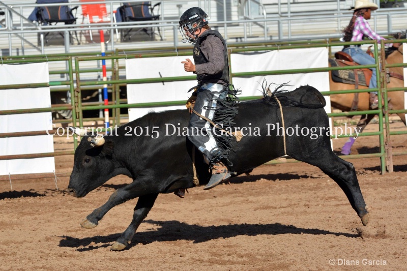 justice hopper jr high rodeo nephi 2015 13 - ID: 14992778 © Diane Garcia
