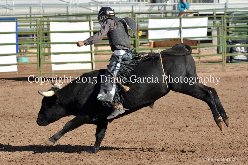 justice hopper jr high rodeo nephi 2015 10 - ID: 14992781 © Diane Garcia