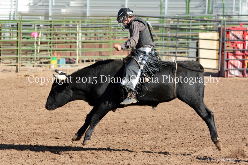 justice hopper jr high rodeo nephi 2015 9 - ID: 14992782 © Diane Garcia