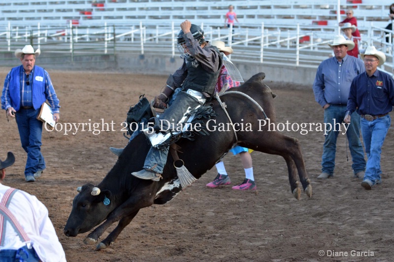 justice hopper jr high rodeo nephi 2015 2 - ID: 14992789 © Diane Garcia