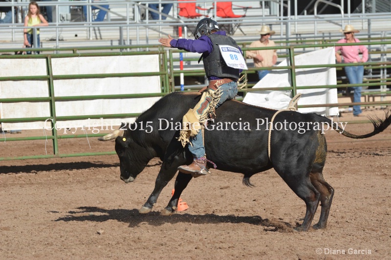 dean thompson jr high rodeo nephi 2015 10 - ID: 14992791 © Diane Garcia