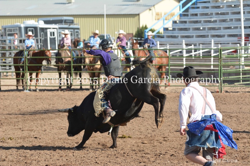 dean thompson jr high rodeo nephi 2015 6 - ID: 14992795 © Diane Garcia