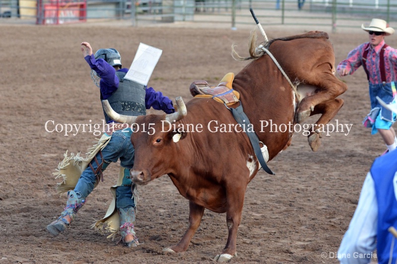 dean thompson jr high rodeo nephi 2015 5 - ID: 14992796 © Diane Garcia