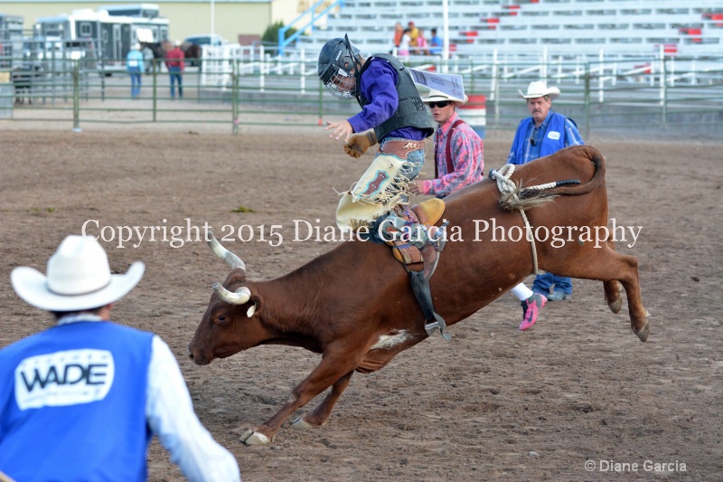 dean thompson jr high rodeo nephi 2015 4 - ID: 14992797 © Diane Garcia