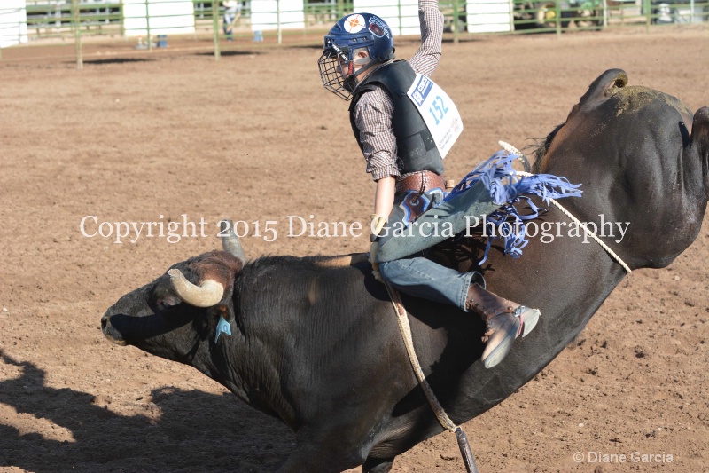 case kohler jr high rodeo nephi 2015 3 - ID: 14992802 © Diane Garcia