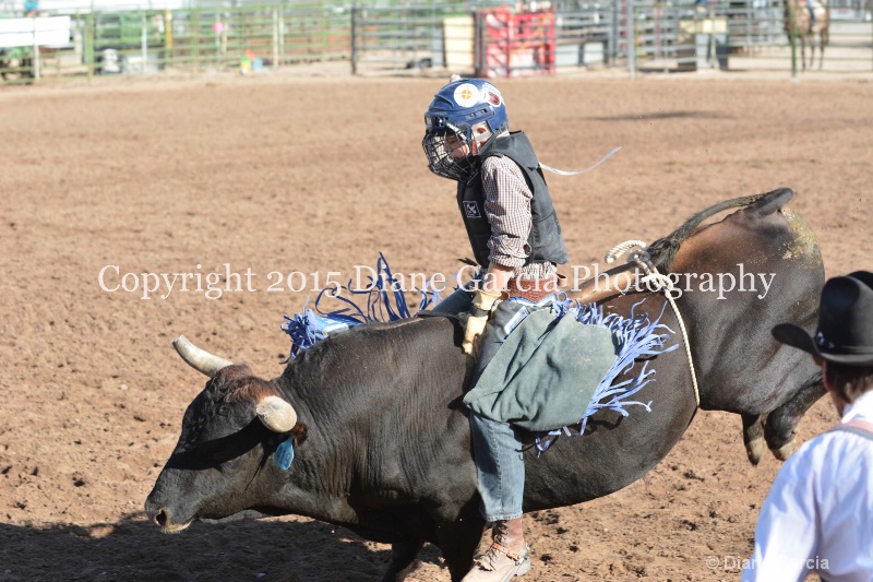 case kohler jr high rodeo nephi 2015 2 - ID: 14992803 © Diane Garcia
