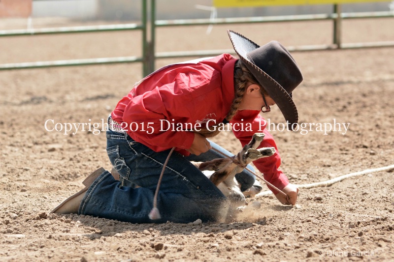 brynnlee allred jr high rodeo nephi 2015 19 - ID: 14993852 © Diane Garcia