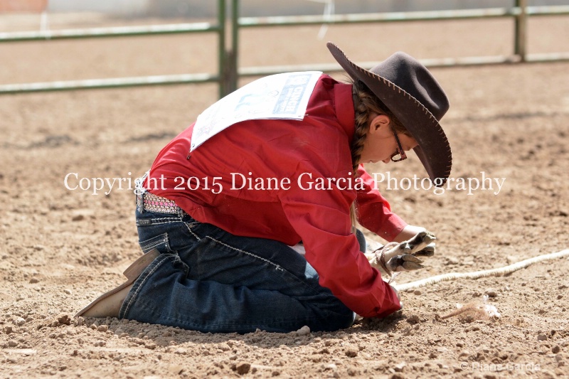 brynnlee allred jr high rodeo nephi 2015 18 - ID: 14993853 © Diane Garcia