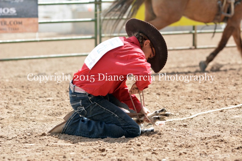 brynnlee allred jr high rodeo nephi 2015 17 - ID: 14993854 © Diane Garcia